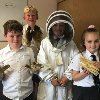 Green Team - Bees